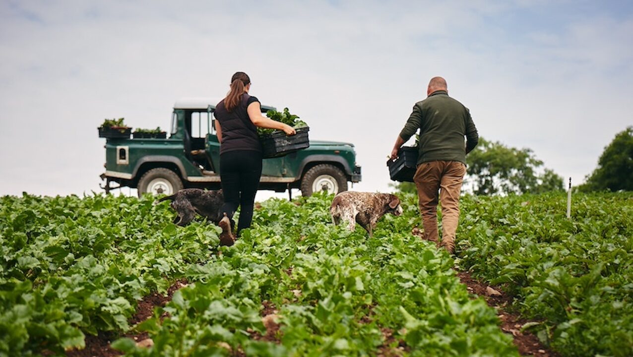 agriland.co.uk - Agriland Team - Next generation taking Millbank Farm in new direction