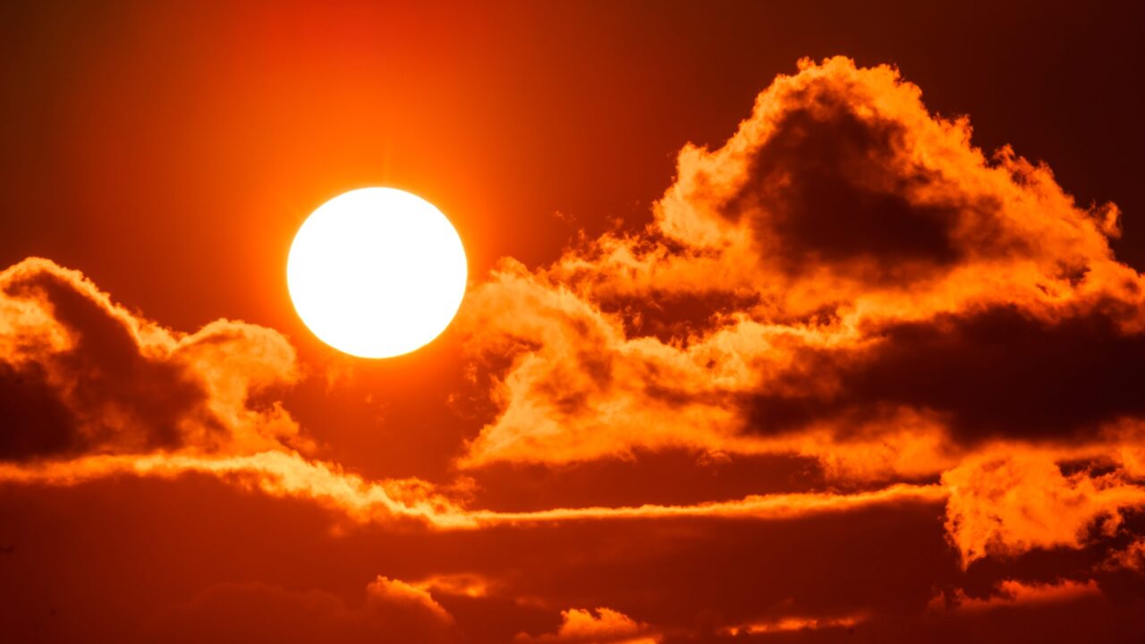 agriland.co.uk - Joe Griffin - Extreme heat driving 'significant' farm productivity losses - report