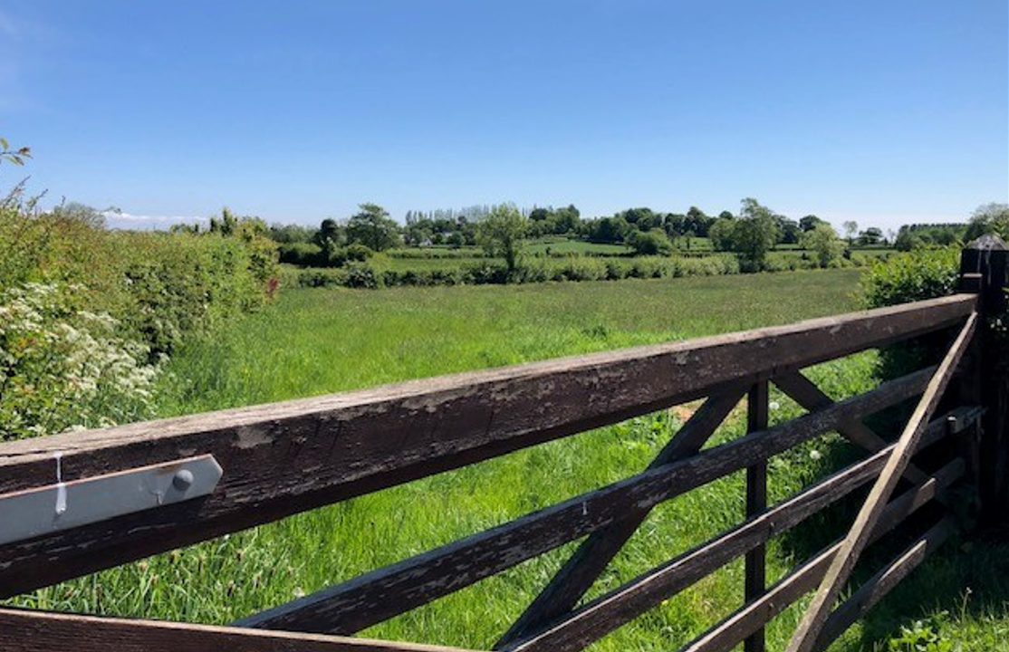 NI MP claims Tyrone cattle cull ‘one of biggest DAERA scandals’