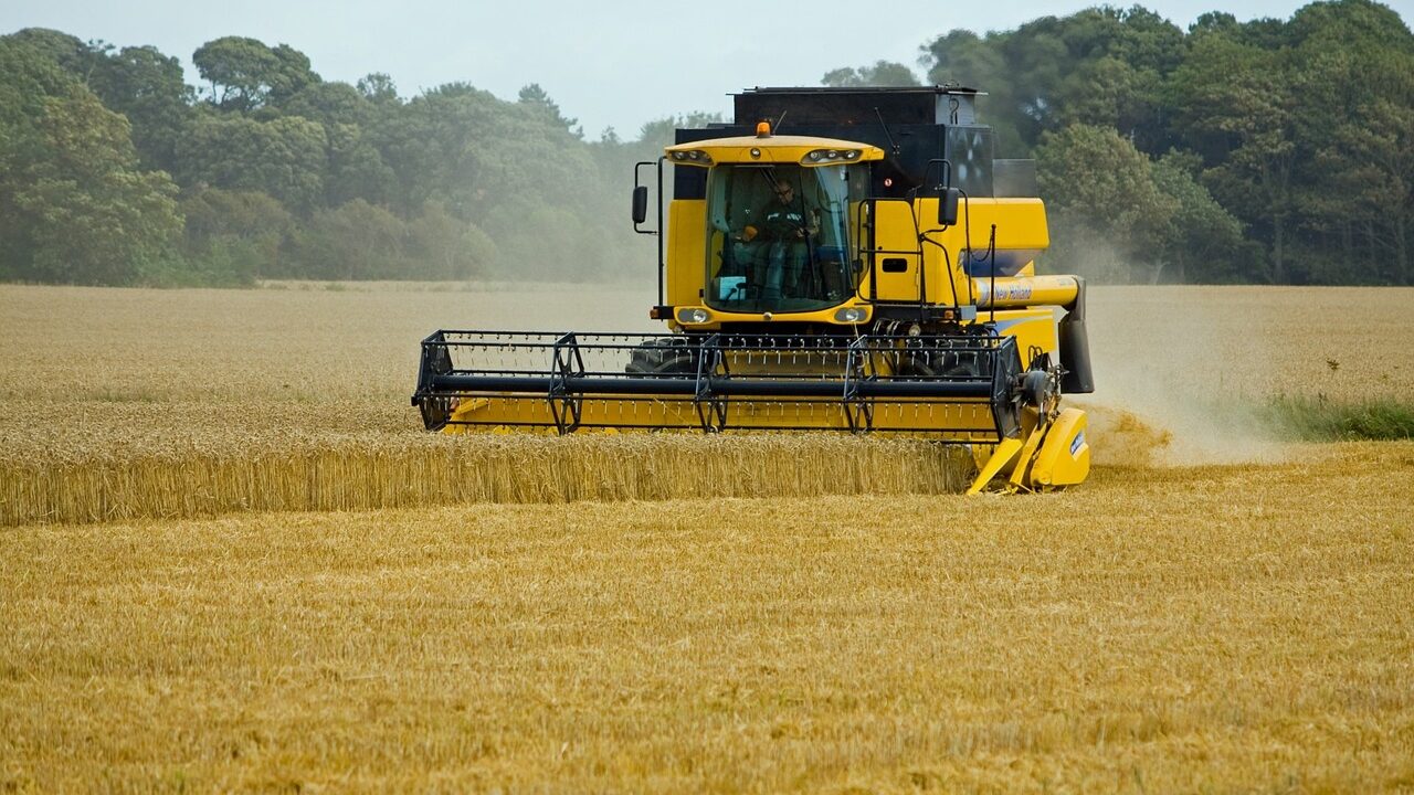Winter wheat harvest gets underway in Co. Down