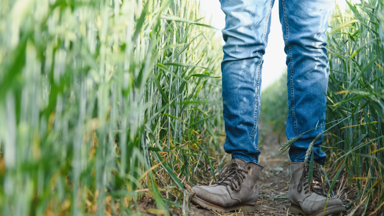 agriland.co.uk - Elena Conroy Garcia - Farmers urged to take part in new farm safety survey