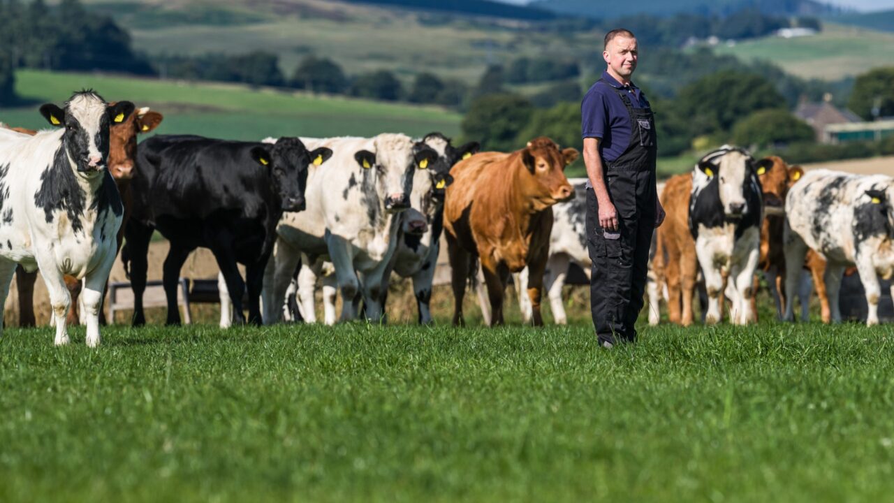 agriland.co.uk - Elena Conroy Garcia - 1,000 beef farms to benefit from Aldi-ABP sustainability scheme