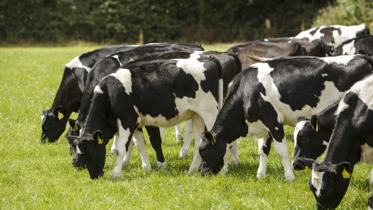 agriland.co.uk - Richard Halleron - Why retailers want to know about a farm's carbon footprint