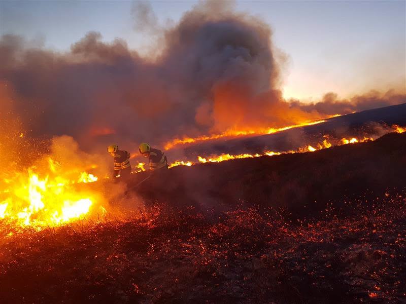 agriland.co.uk - Elena Conroy Garcia - NI farm fire costs up 73% in 2025 due to summer heat